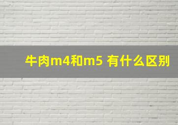 牛肉m4和m5 有什么区别